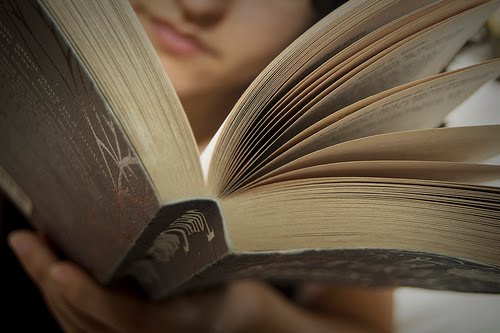 A person reading an open book with spider on the pages.