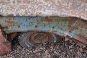 Rusty car wheel surrounded by leaves.