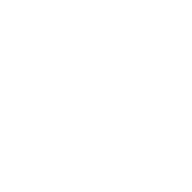 A black and white image of the name erika kodice.