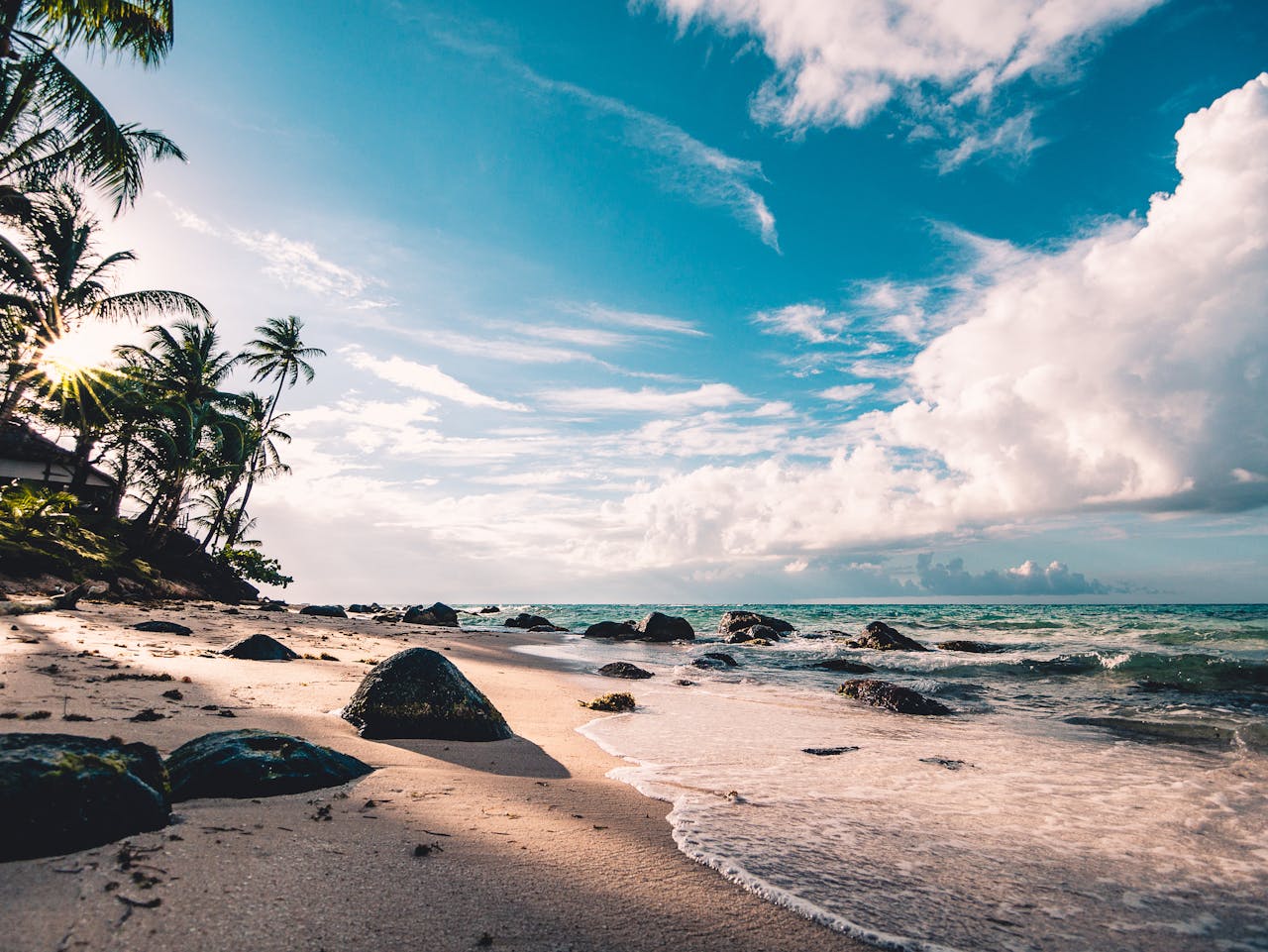 Tropical beach with palm trees and rocks.